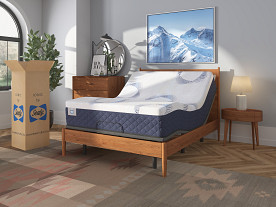 Sealy Memory Foam Queen Mattress
