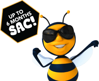 up to 6 months SAC!