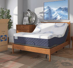 Sealy 12 inch Memory Foam Queen Mattress